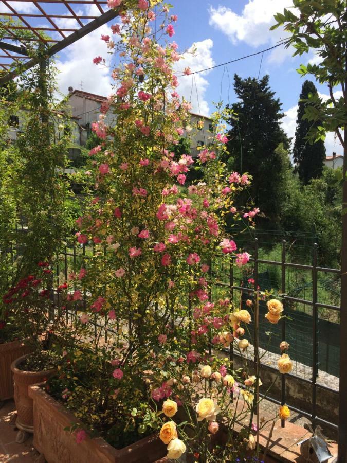 Maison d'hôtes La Casina Delle Rondini à Corsanico-Bargecchia Extérieur photo