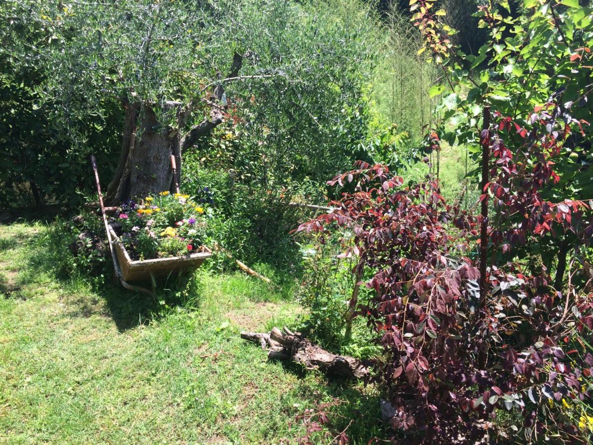 Maison d'hôtes La Casina Delle Rondini à Corsanico-Bargecchia Extérieur photo
